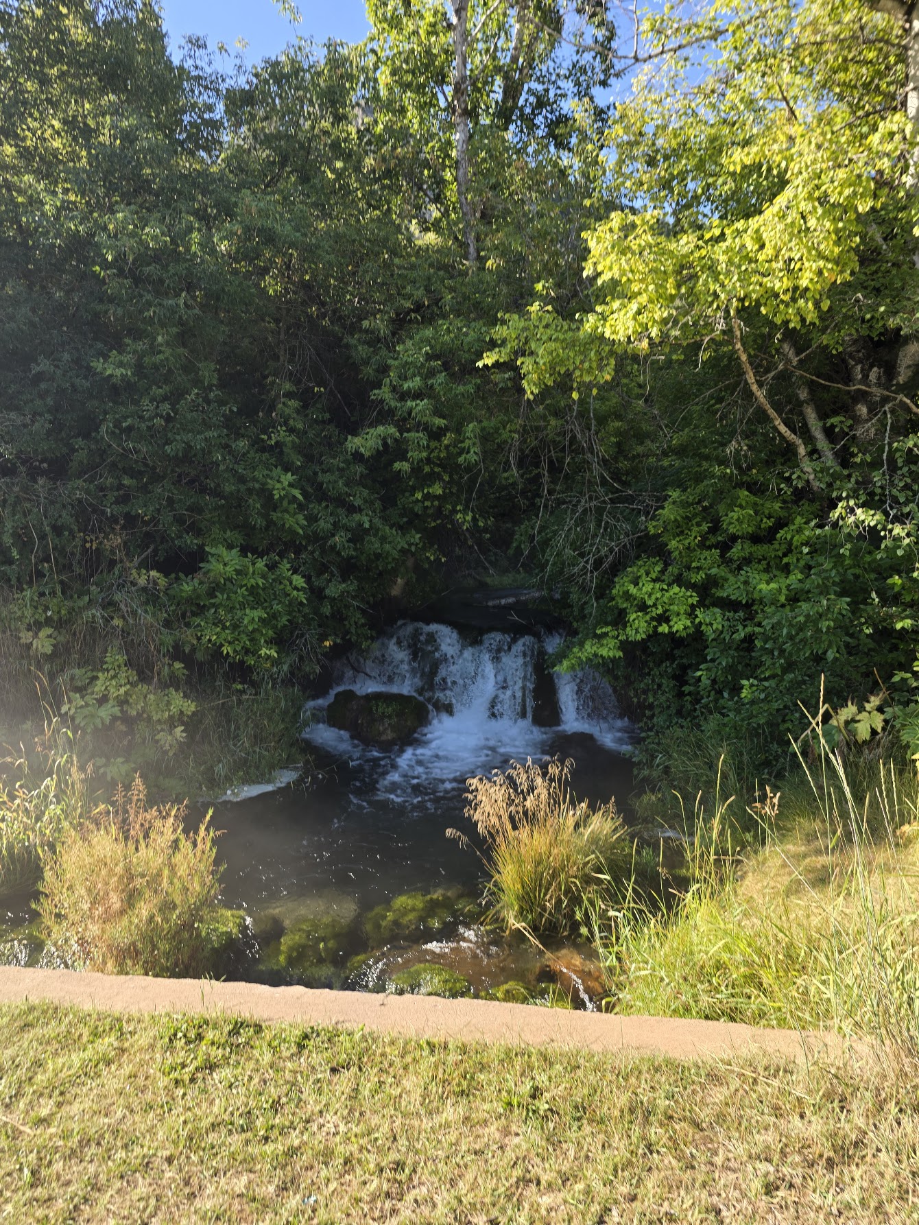 A small waterfall surrounded by trees and sunlit grass during Rod’s Dakota trip
